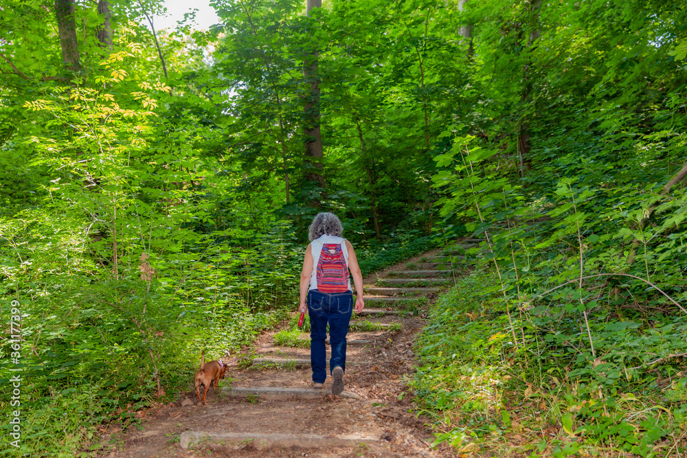 Fototapeta premium Mature woman with her dog with her back to the camera climbing a hill up a stone staircase in the middle of the forest surrounded by trees and greenery, sunny day in South Limburg, Netherlands