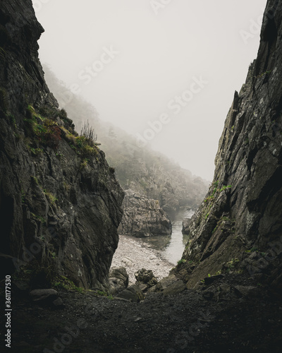 Cliffs in the fog