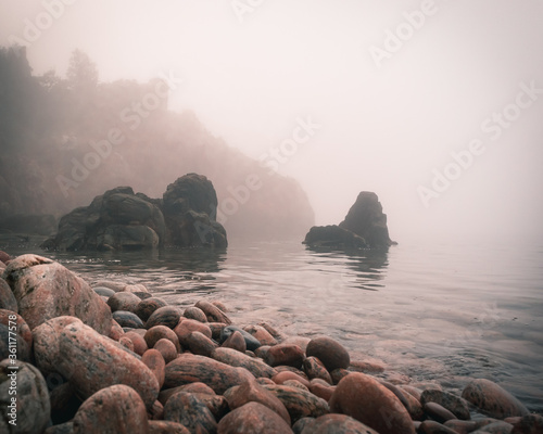 Foggy coast