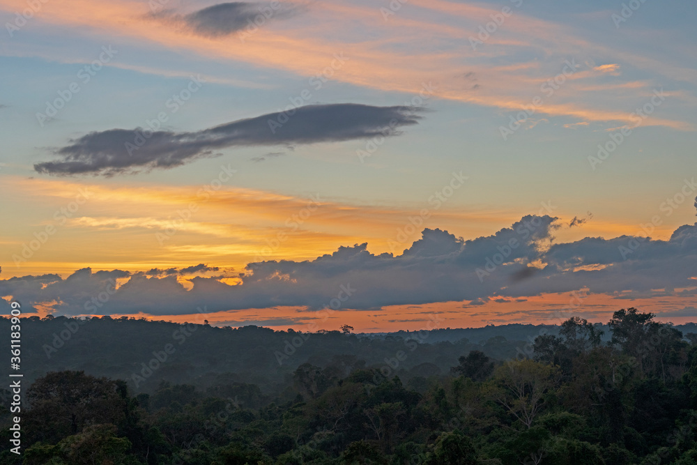 Early Morning Light Over the Rainforest