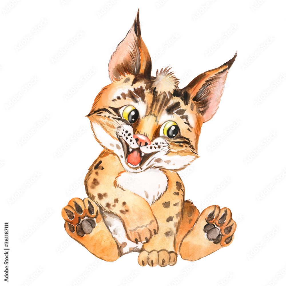 Watercolor illustration of a cute little lynx, forest dweller, forest animal