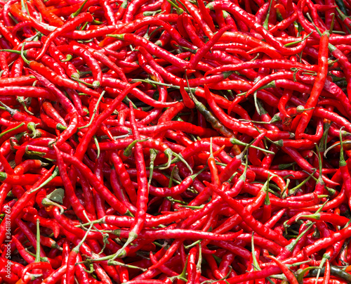 A red hot peppers background