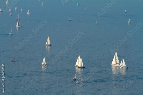 View of the famous Barcolana race in Trieste, Italy