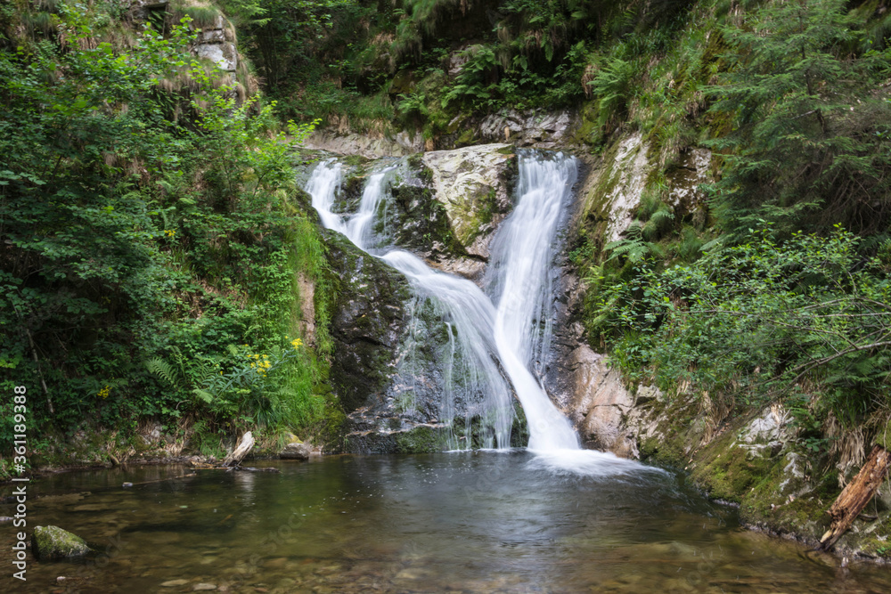 waterfall in the forest