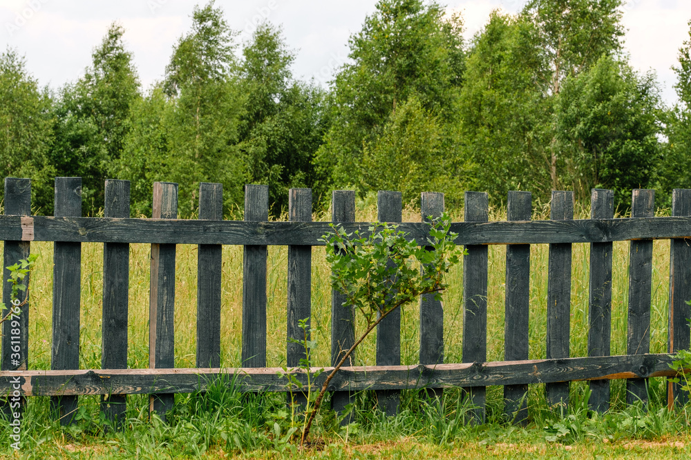 
wooden fence in the village