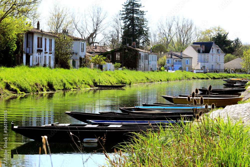 Coulon et ses barques sur la Sèvre Niortaise StockFoto Adobe Stock