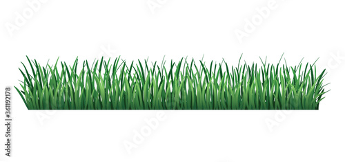Green grass border. Fresh green grass. Isolated on transparent background. Vector Illustration for use as design element
