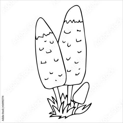 Set of different edible and poisonous mushrooms vector illustration isolated on white background.