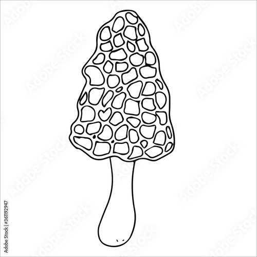 Set of different edible and poisonous mushrooms vector illustration isolated on white background.