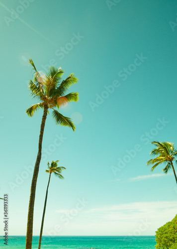 Tropical island paradise with waving palm trees, turquoise water and blue sky above.
