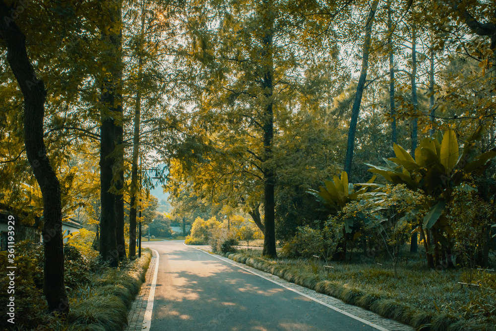 Road in forest near Hangzhou Botanical Garden in Hangzhou, China Road in forest near Hangzhou Botanical Garden in Hangzhou, China