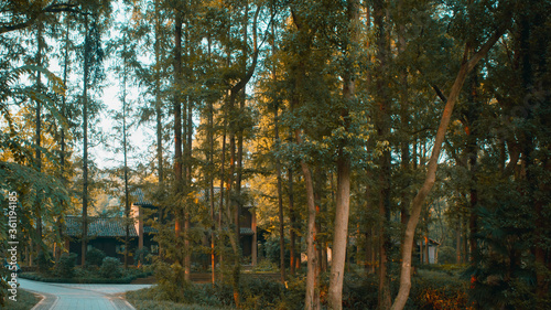 Path leading to house in woods near Hangzhou Botanical Garden in Hangzhou  China