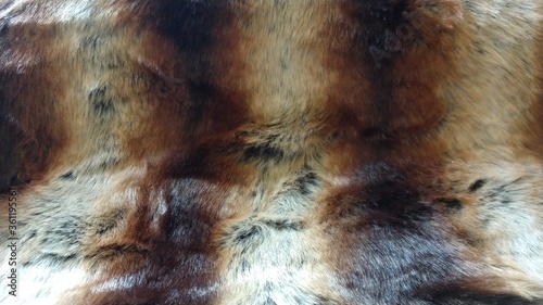 brown fur texture