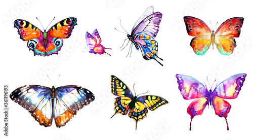 beautiful watercolor butterflies, isolated on a white