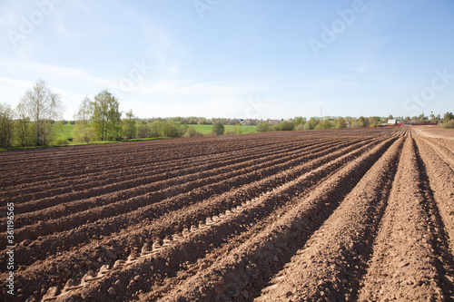 Colours of spring - ploughed field ready to sow. Plowed field of potato in countryside. Agricultural fields in Russia.