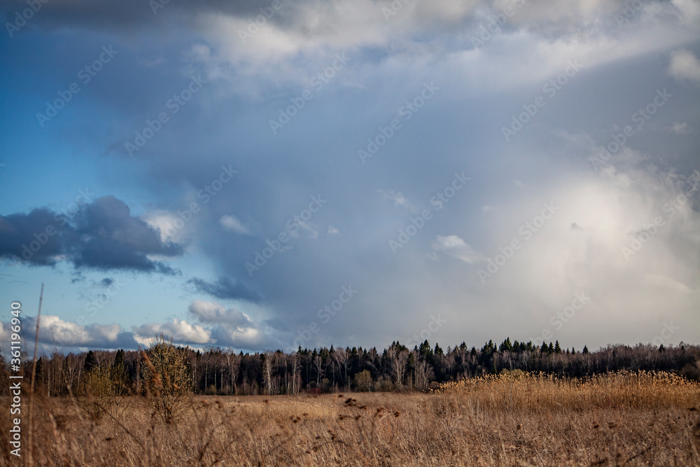 Big cloud in the field. The landscape of the field. Big cloud in the field. The landscape of the field.