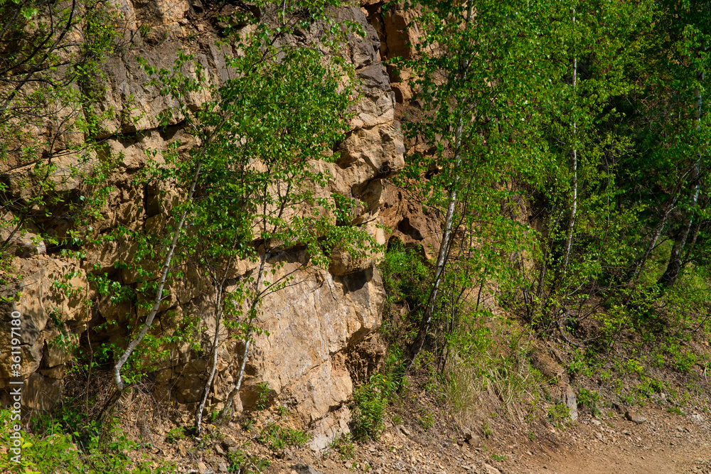 Rocky hill. View of sandstone, remains of a mine. Rocky hill covered with trees and vegetation.