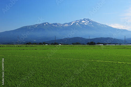 山形庄内平野 初夏 田園風景と鳥海山 Stock Photo Adobe Stock 山形庄内平野 初夏 田園風景と鳥海山 Stock Photo Adobe Stock
