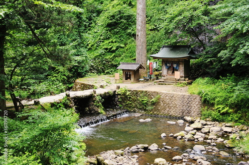 山形　出羽三山の初夏　羽黒山の杉並木の参道　須賀の滝　神橋 photo