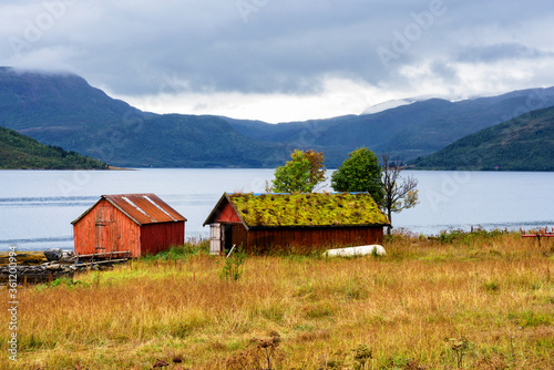 Εκτύπωση καμβά Norwegian coast landscape with a typical red house