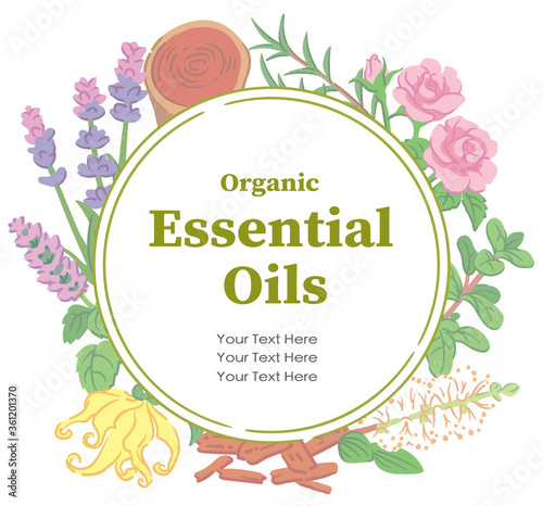 アロマオイルに使われるハーブなどを使ったデザイン。 ベクター画像
