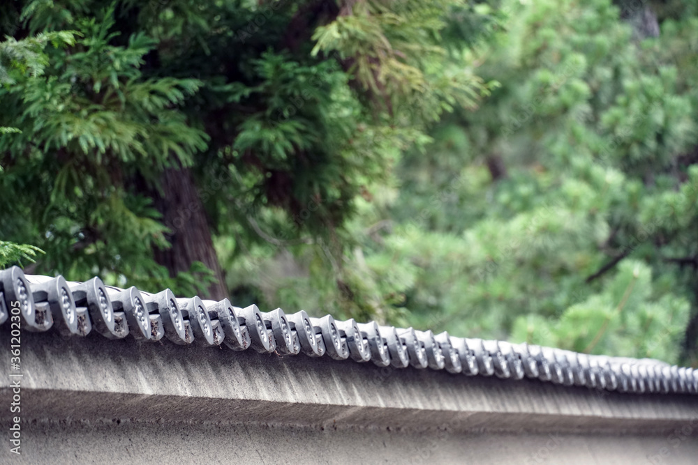 Japanese roof and trees Japanese roof and trees