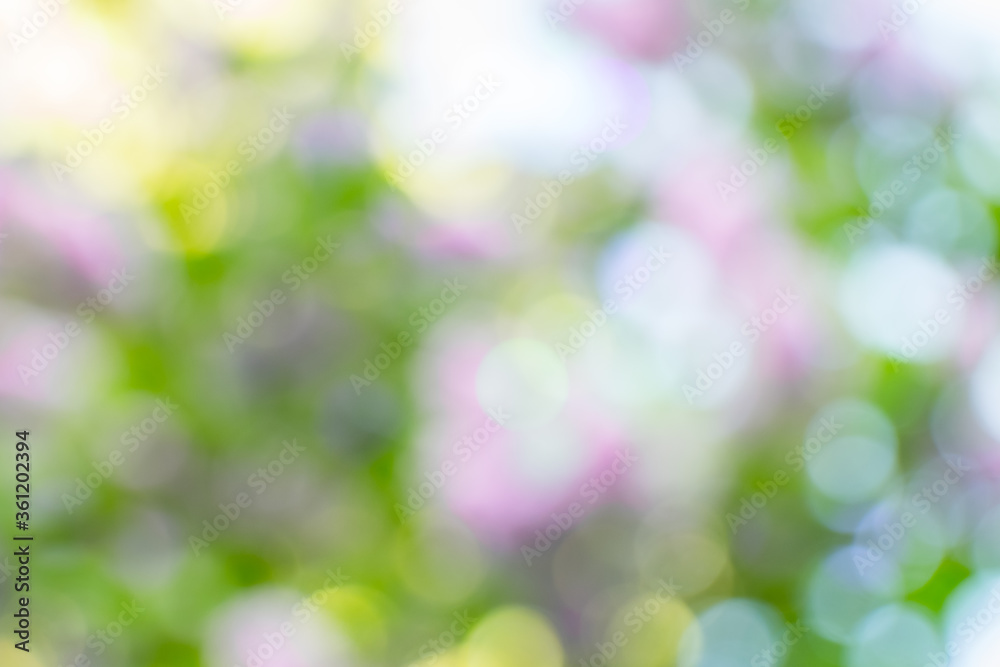 Obraz premium multicolor summer or spring bokeh on nature abstract blur background