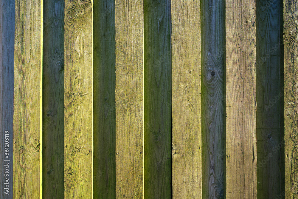 The wall is sheathed with wooden planks with a touch of greenery. The wall is sheathed with wooden planks with a touch of greenery.