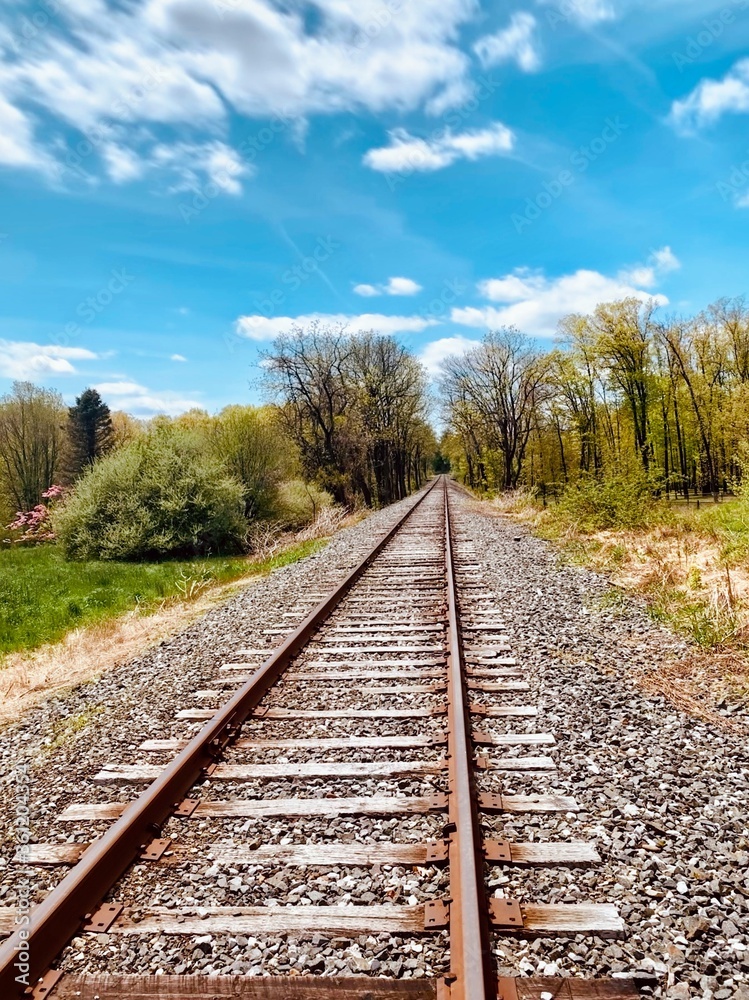 Fototapeta premium Railroad tracks in the countryside