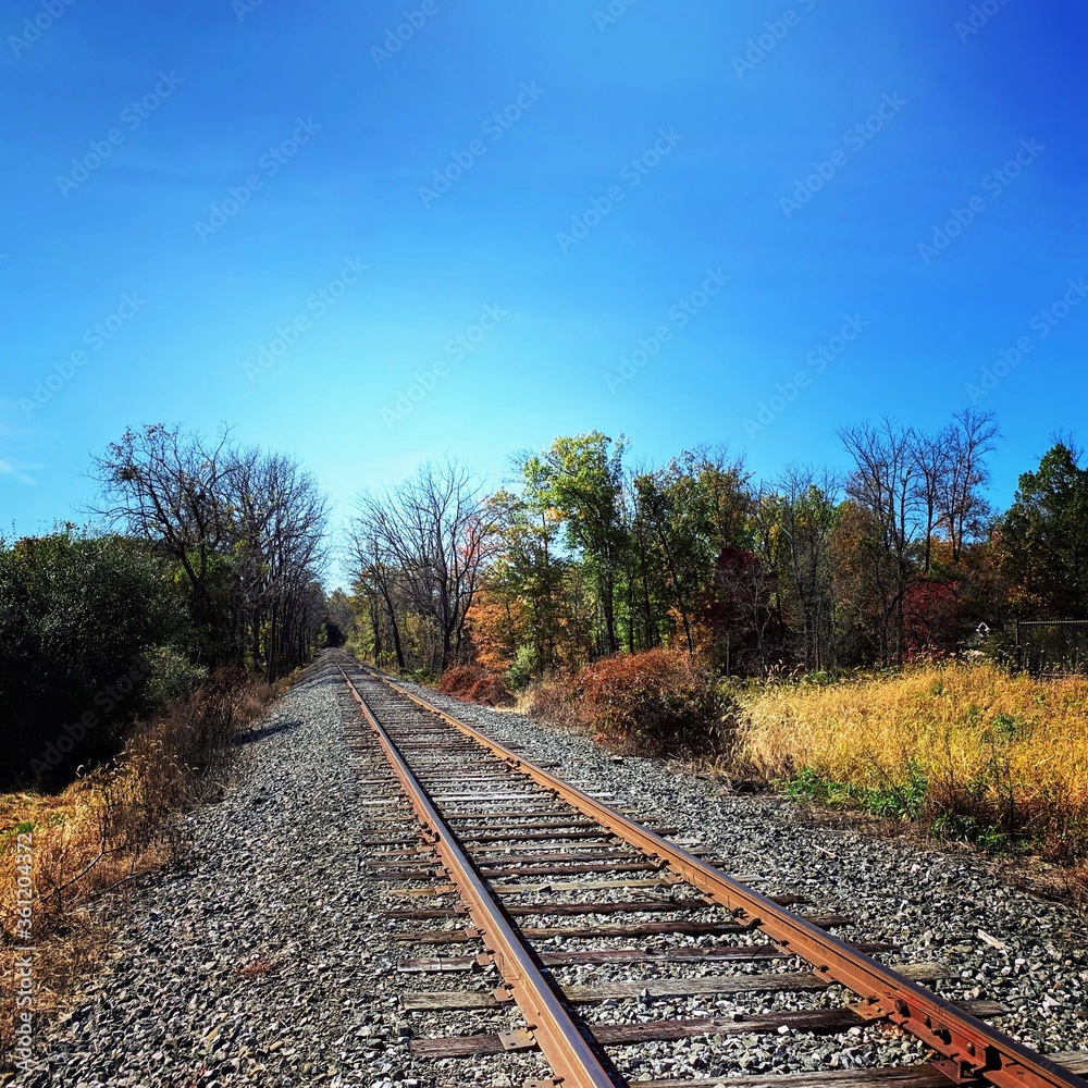 Fototapeta premium railroad tracks in the countryside