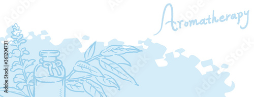 バナー, 背景などに使えるアロマオイル瓶、ユーカリ、クラリセージのスケッチイラスト。ベクター画像