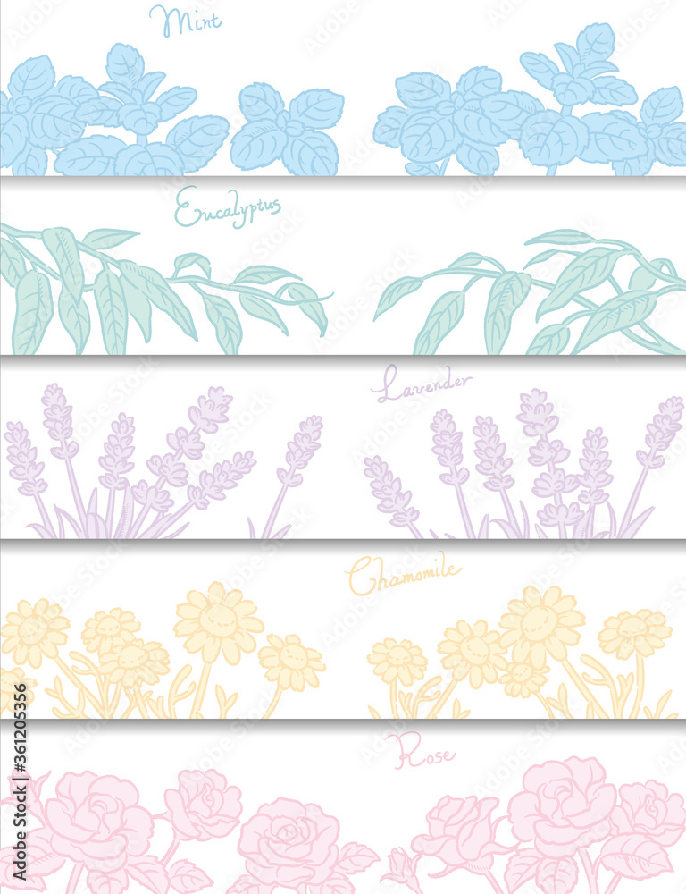 バナー 背景などに使えるアロマオイル ハーブのスケッチイラスト ベクター画像 Stock Vektorgrafik Adobe Stock