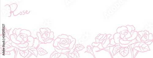バナー, 背景などに使えるローズのスケッチイラスト。ベクター画像