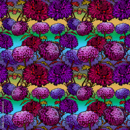 seamless pattern chrysanthemum purple  flowers burgundy