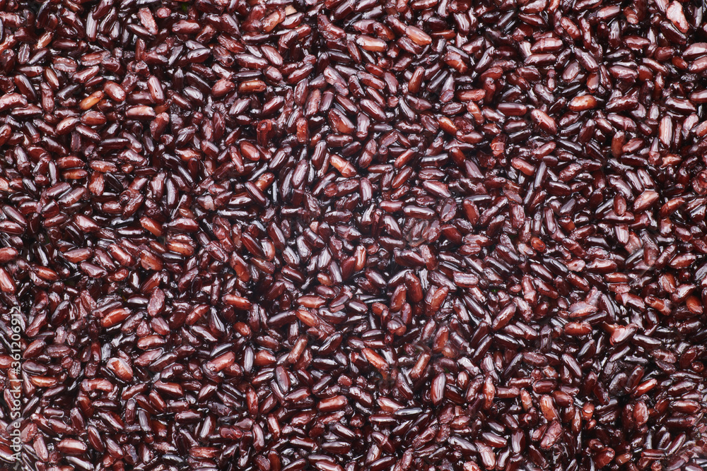 Whole grain black venus rice background. Venere is an Italian medium-grain product also known as nobleman’s rice or emperor’s rice, and has a pleasing aroma. It is loaded with protein and minerals