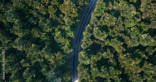Aerial view of a hidden road in the woods © Omar Molina