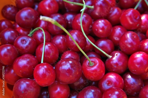 Many ripe red cherries in a bucket, nice food