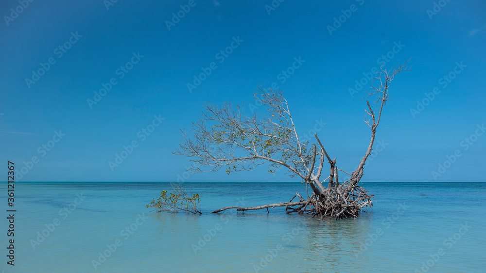 Playas de arena blanca y aguas turquesa de Cuba Playas de arena blanca y aguas turquesa de Cuba