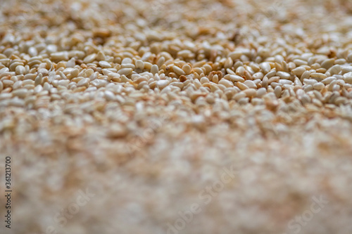Browned sesame seeds closeup