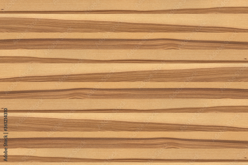 ash-tree wooden background texture structure backdrop ash-tree wooden background texture structure backdrop
