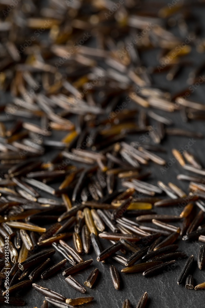 Macro close up of uncooked, raw, black wild rice grains on dark stone background