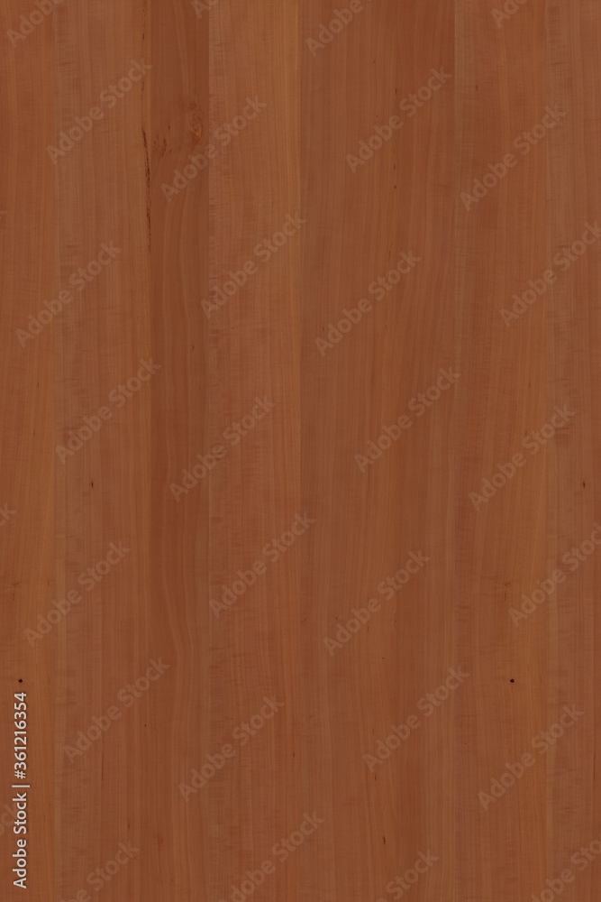 brown wooden tree timber background texture structure backdrop high size brown wooden tree timber background texture structure backdrop high size