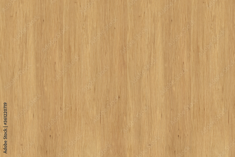 Naklejka premium hornbeam wood tree timber background texture structure backdrop