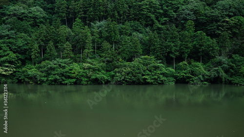 面河川の川岸