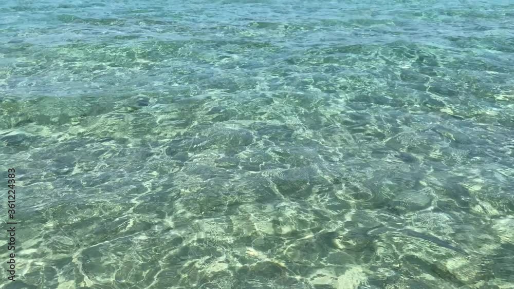 Maldive del Salento - Apulia - Italy.
Transparent water crystalline sea Maldive del Salento - Apulia - Italy.
Transparent water crystalline sea