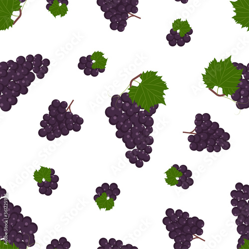 Grapes. Seamless Vector Patterns 