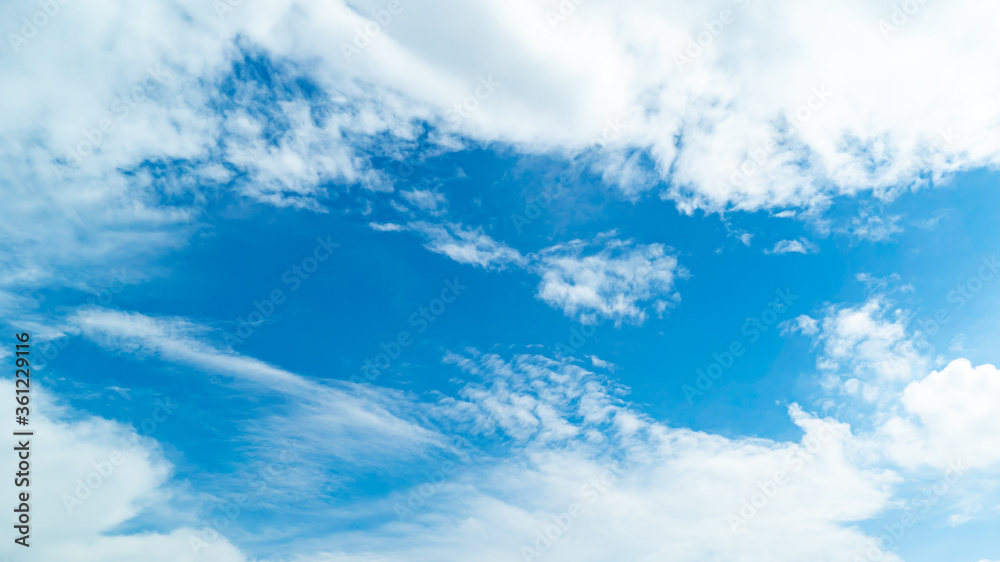 Fototapeta premium 青空・雲