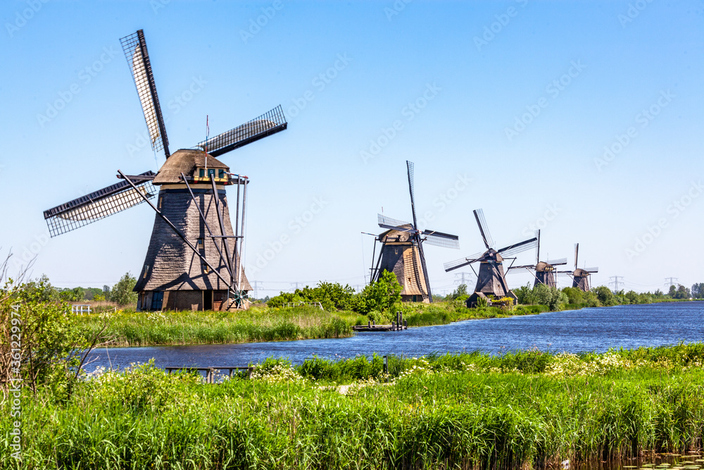 Naklejka premium windmills Molen de Valk in Leiden