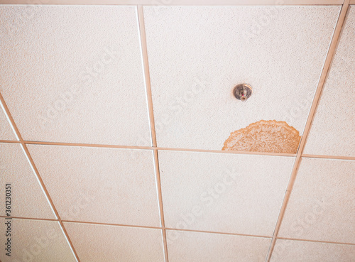 Canvastavla leaky office roof