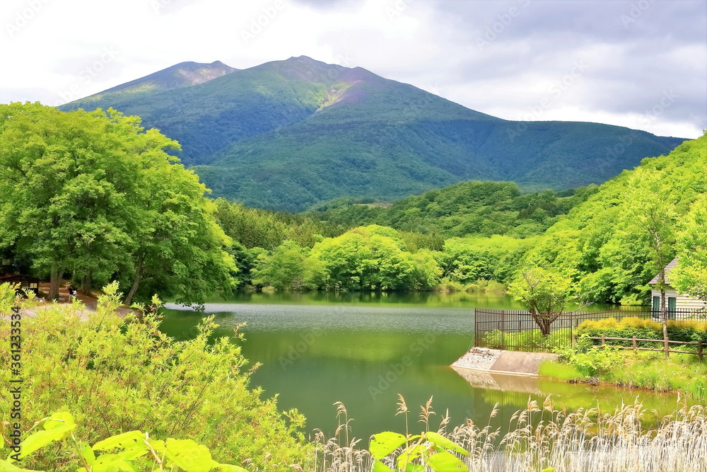 新緑の長老湖と不忘山（ふぼうさん）